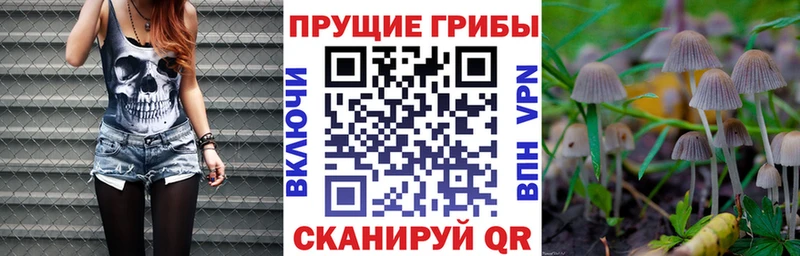 Галлюциногенные грибы ЛСД  кракен рабочий сайт  Советская Гавань 